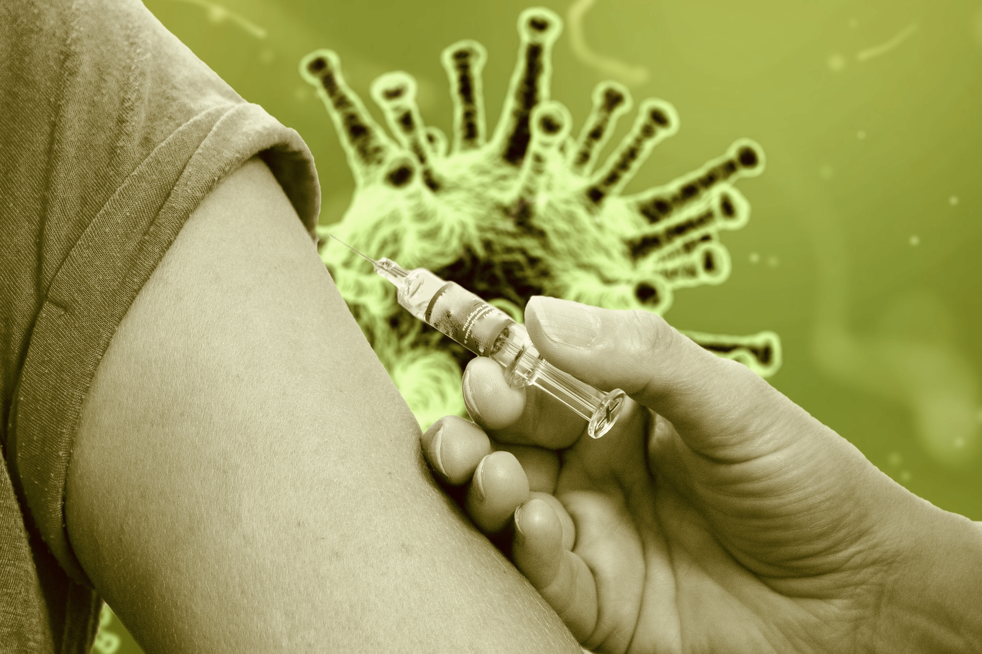 vaccinate-4833616_1920.jpg